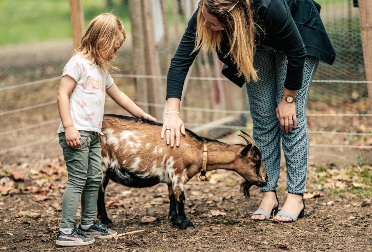 Camping De L'Orangerie De Lanniron Quimper Kültér fotó